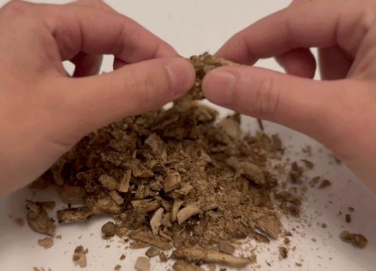 Umami Mode Mushrooms ChZ - Freeze Dried Roasted Mushroom Packs (Spicy Cheesy)