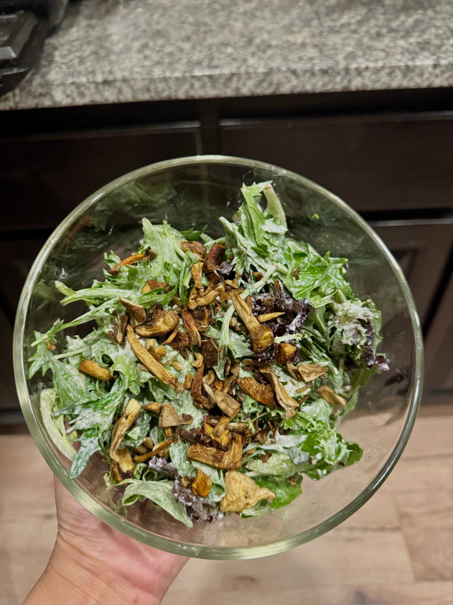 Umami Mode Mushrooms NA - Freeze Dried Roasted Mushroom Packs (lightly salted)