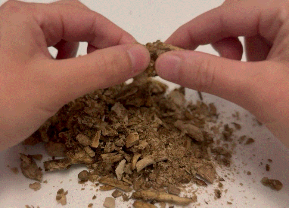 Umami Mode Mushrooms - Freeze Dried Roasted Mushroom Packs